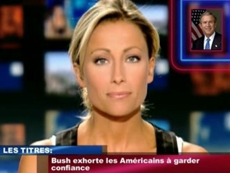 Journal TV TF1 20H 29 Janvier 2008