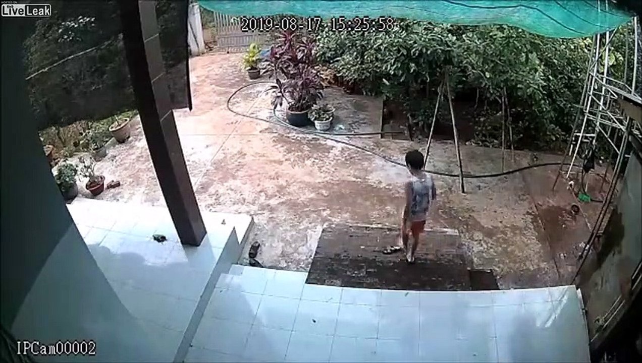 2 enfants cassent le portail du jardin qui tombe à la renverse !