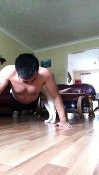 Il essaye de faire ses pompes avec son chiot sur le dos !