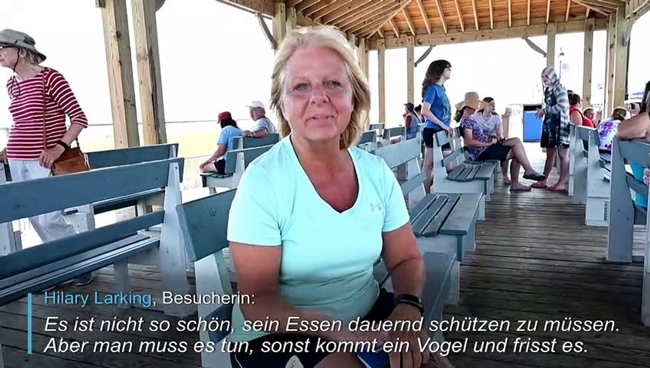 Seebad vertreibt aufdringliche Möwen mit Raubvögeln