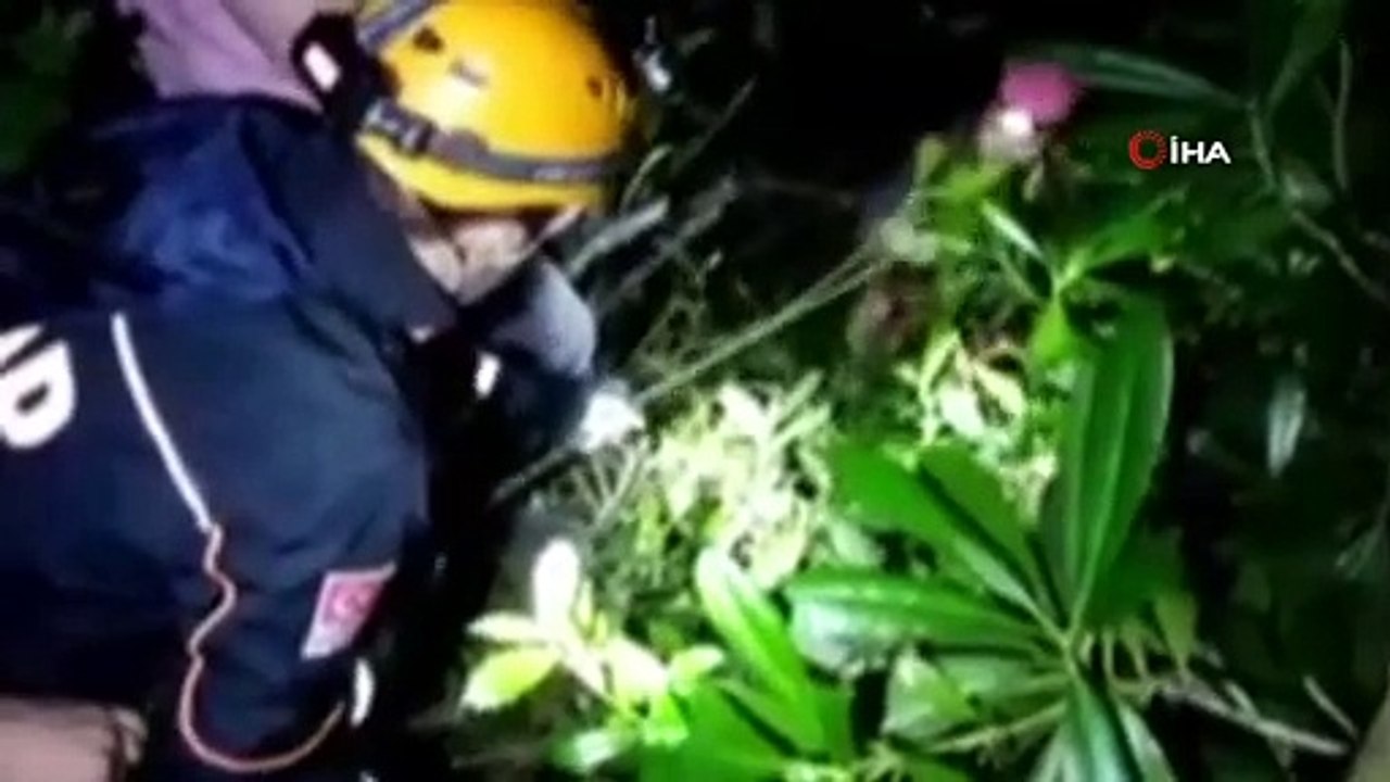 Dünyanın en yaşlı porsuk ağacını görmek için gittikleri dağlık alanda kayboldular