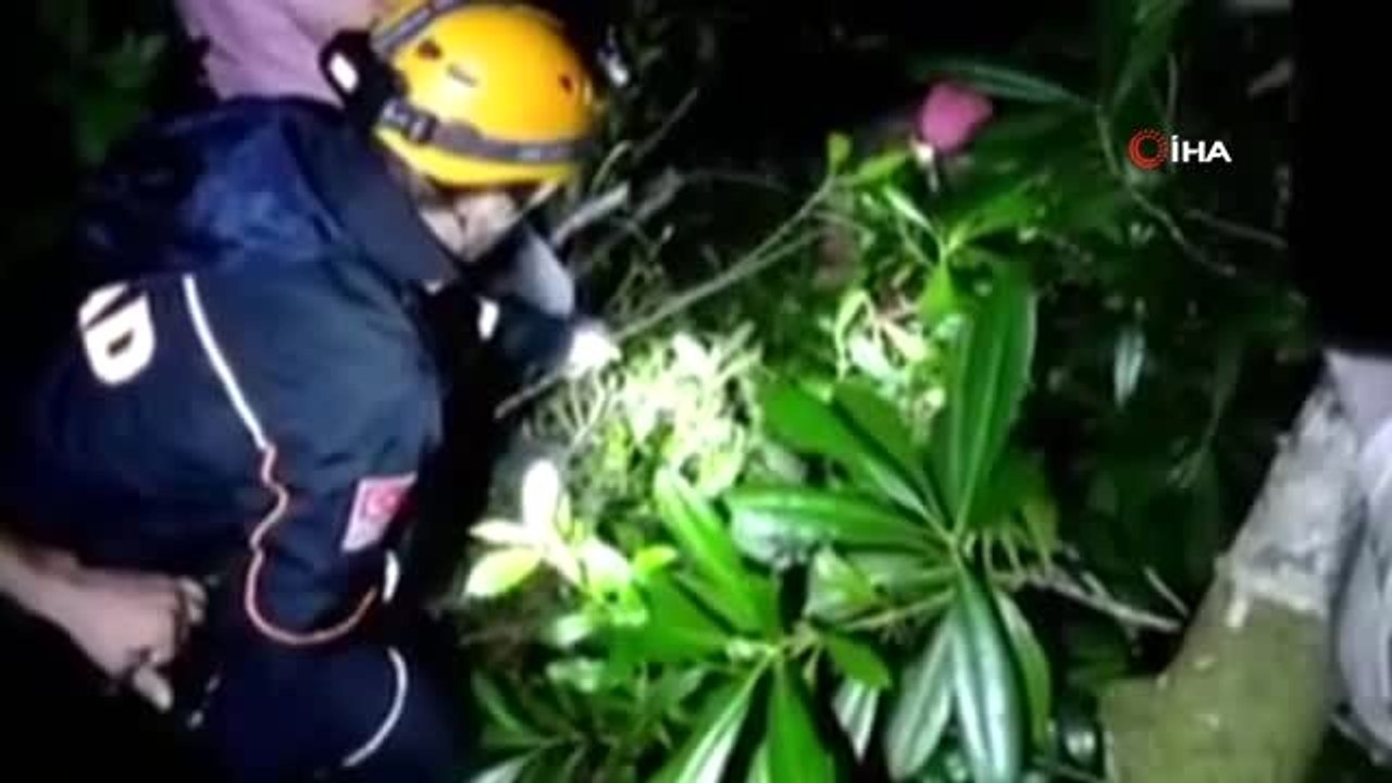 Dünyanın en yaşlı porsuk ağacını görmek için gittikleri dağlık alanda kayboldular