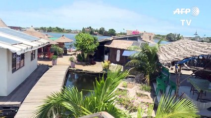 Ivory Coast's 'Floating Island' points to greener tourism