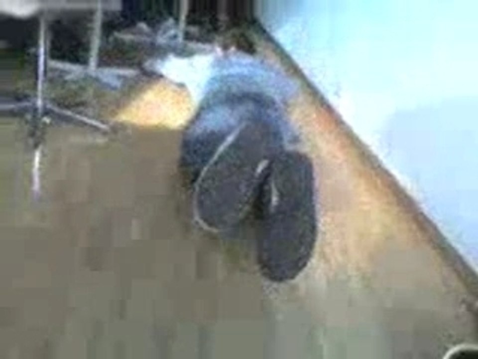 Nage En Classe