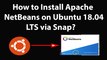 How to Install Apache NetBeans on Ubuntu 18.04 LTS via Snap?