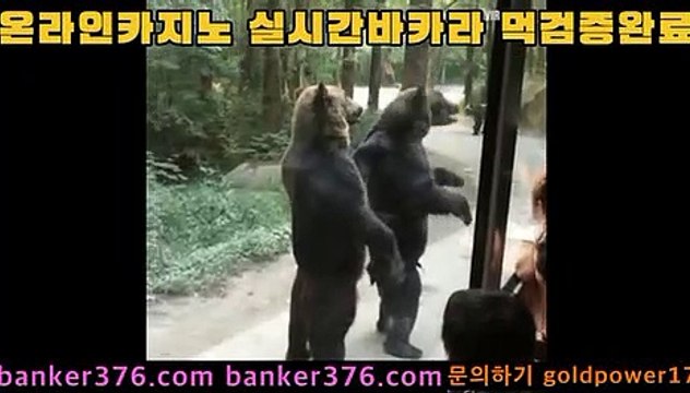 우리카지노 banker376.com pc카지노 golca95.com 도박 golca88.com 바카라필승법 golca77.com 올인구조대 banker19.com 바카라추천 banker376.com 홀덤 golca