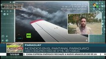 teleSUR Noticias: Incendios avanzan en la Amazonía paraguaya