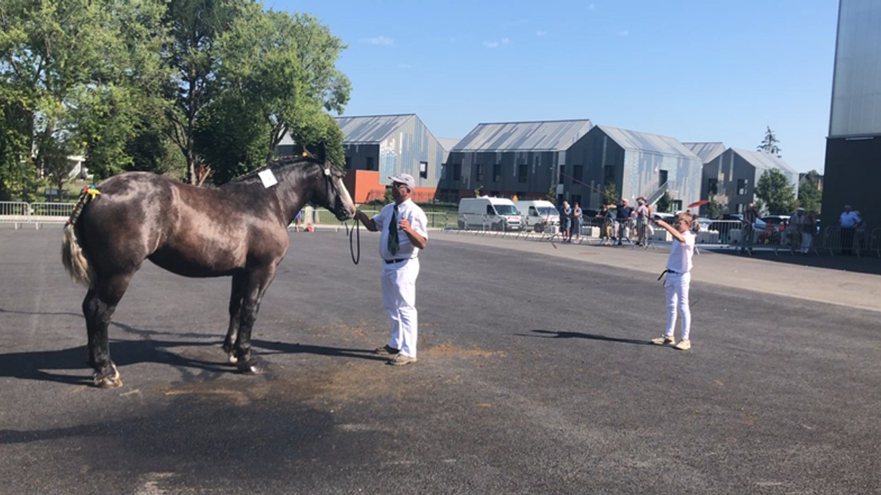 Dernières animations pour la Saint-Fiacre 2019
