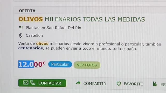 Se investiga el venta ilegal de olivos milenarios