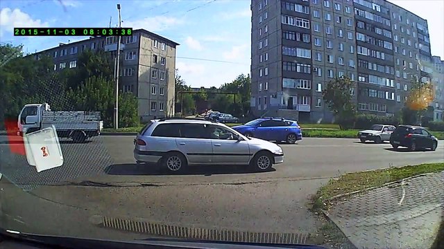 Cute Kitten Stops Traffic