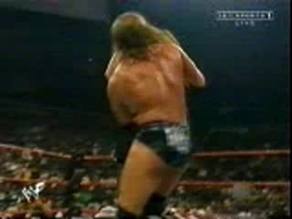 Stone Cold Steve Austin - Stunner - Triple H