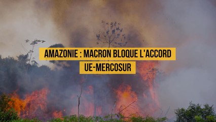 Amazonie Macron accable Bolsonaro et bloque l'accord UE-Mercosur