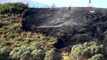 Hatay'da çıkan yangında 4 hektarlık alan kül oldu