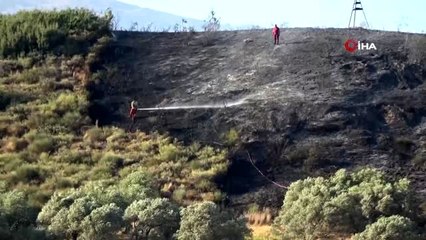 Hatay'da çıkan yangında 4 hektarlık alan kül oldu