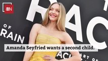 Amanda Seyfried Has Baby Fever