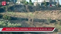 Hatay’da çıkan yangında 4 hektarlık alan kül oldu