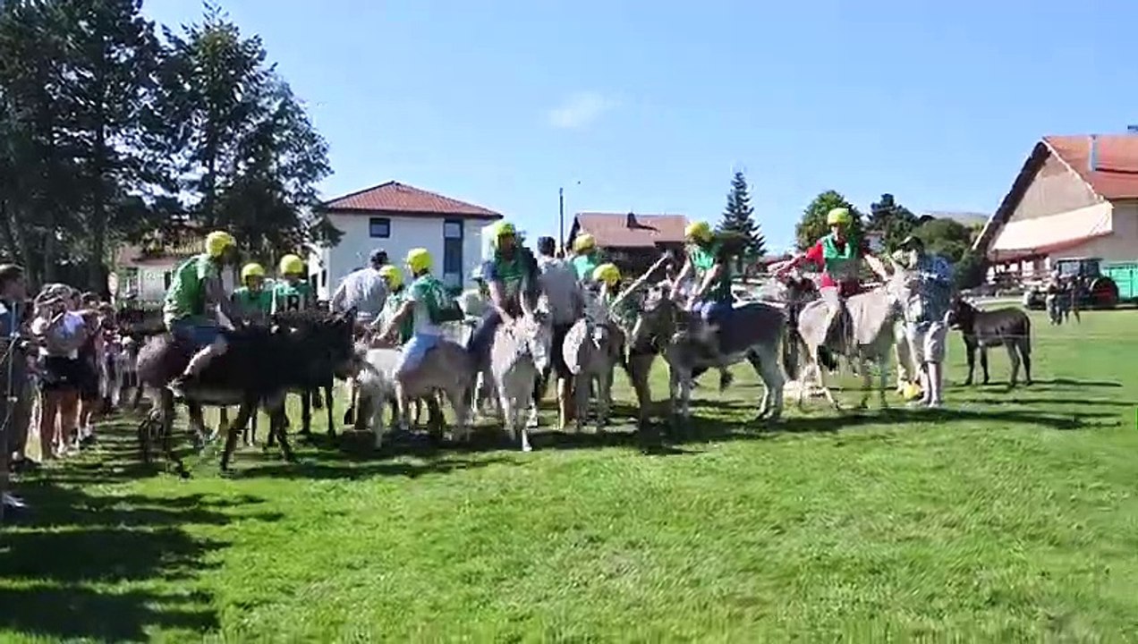 Le tiercé des ânes, moment fort de la fête de Fournets-Luisans