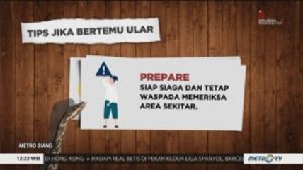 Tips Jika Bertemu Ular