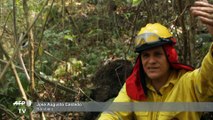 Evo Morales acepta ayuda internacional y suspende campaña por incendios forestales en Bolivia