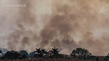 Fuerzas Armadas de Brasil inician combate a incendios en la Amazonía