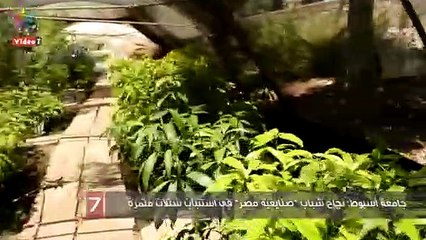 جامعة أسيوط: نجاح شباب "صنايعية مصر" فى استنبات شتلات مثمرة