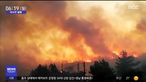 [이 시각 세계] 그리스 사모스섬 화재…관광객 수백 명 대피