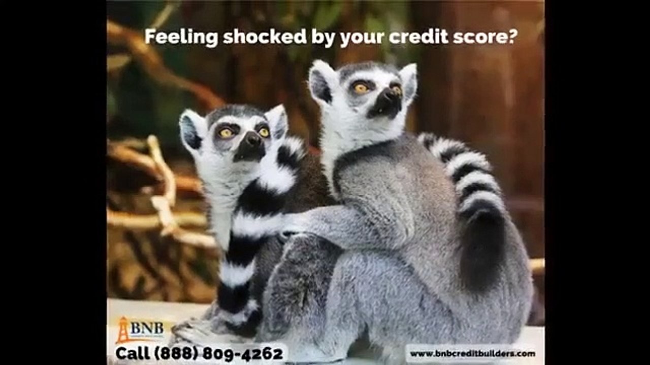 Credit Repair and Credit Score in Erie PA | Tips & Tools