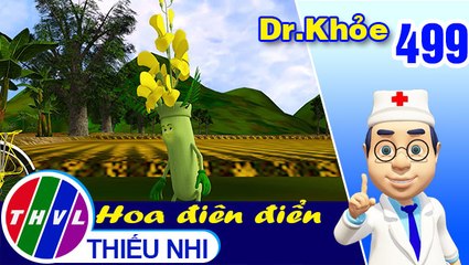 THVL | Dr. Khỏe - Tập 499: Hoa điên điển - Phần 1