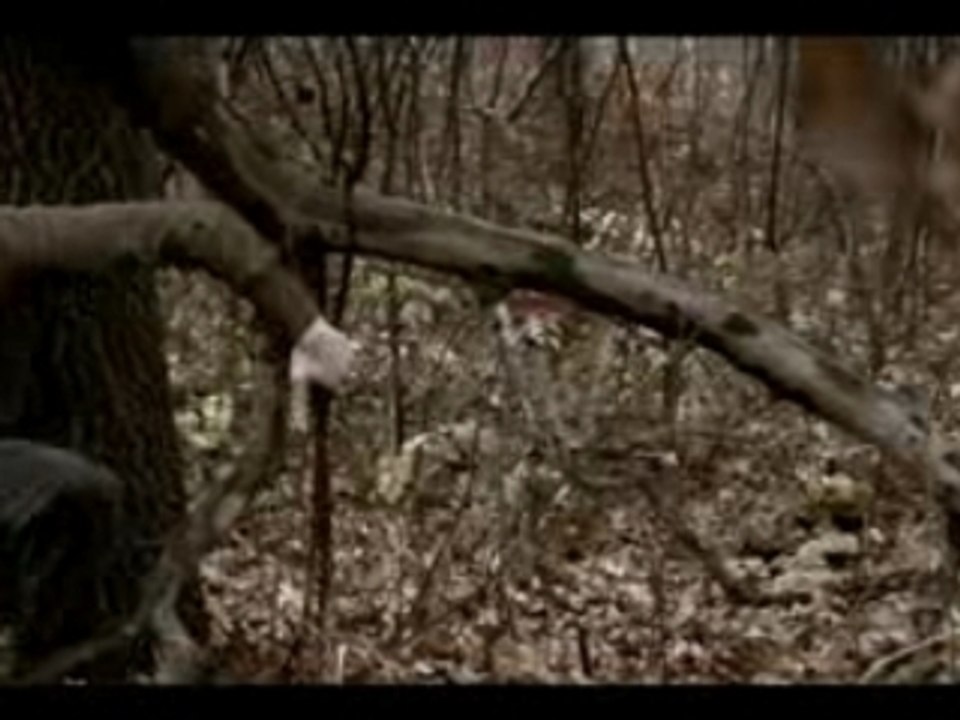 Battlefield: Chapter One
