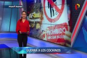 Guerra a los cochinos: malas costumbres y falta de civismo ‘made in Perú’