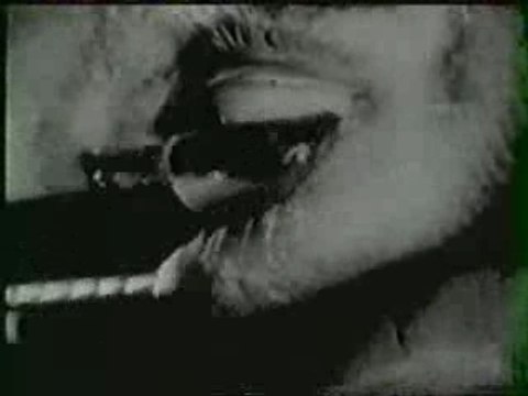 Berurier Noir - Porcherie - Clip