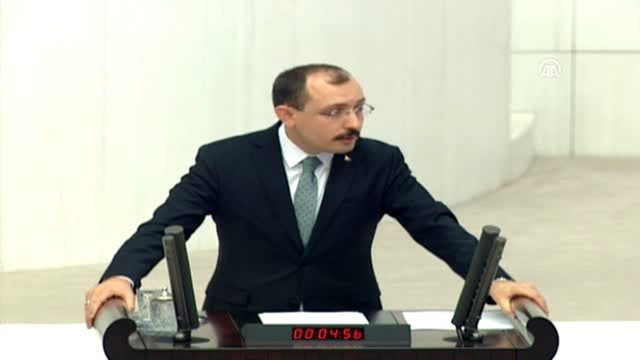 TBMM Genel Kurulu özel gündemle toplandı - Mehmet Muş  (2)