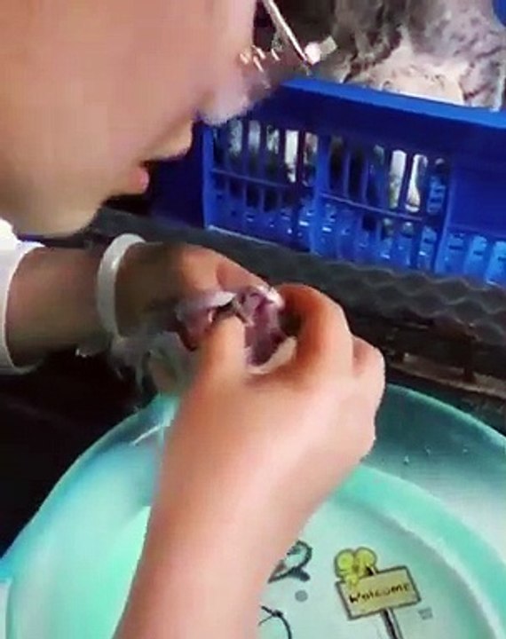 Héroïque ! Regardez comment cette femme va sauver ce chaton mourant !