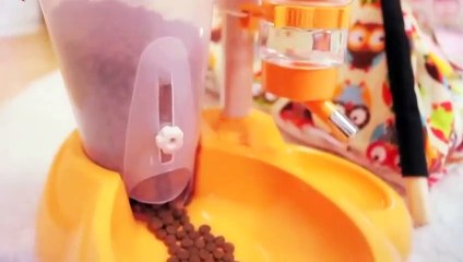 범계출장안마 -후불100%ョØ1ØE6706E9275｛카톡FX24｝ 범계전지역출장안마 범계오피걸 범계출장마사지 범계안마 범계출장마사지 범계콜걸샵БГД