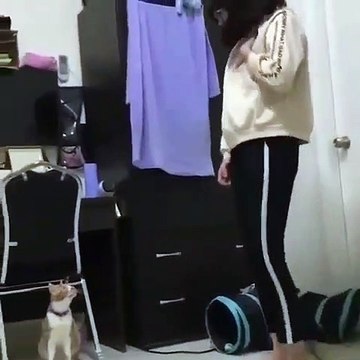 Cette chatte copie tout ce que fait sa maîtresse. A mourir de rire !