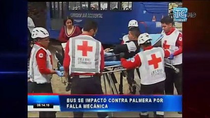 Bus se impactó contra una palmera por falla mecánica