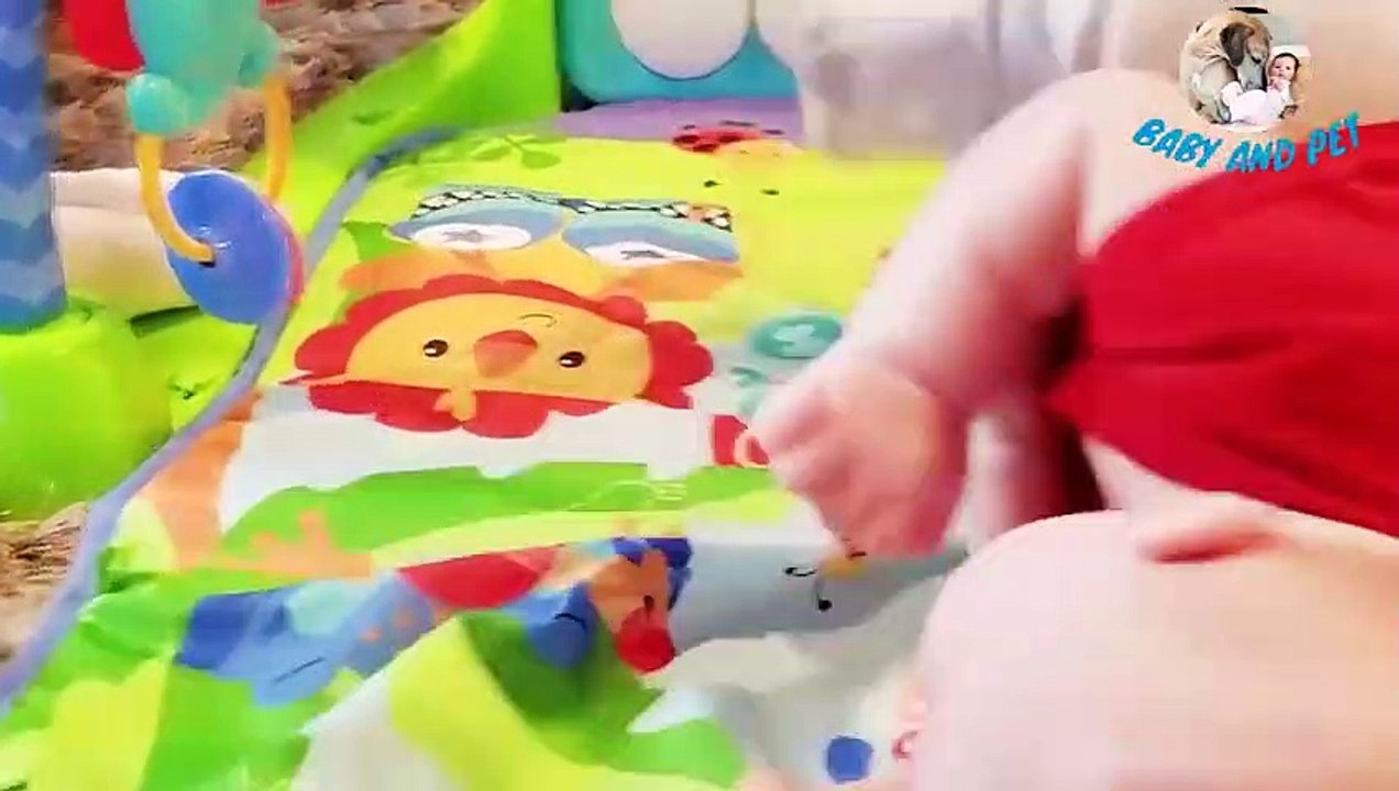 MOST_Crazy_Cats_Annoying_Babies,_If_You_Laugh_You_Lose_Challenge_|_BABY_AND_PET(480p)