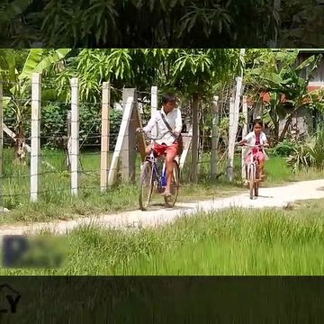 Terrifying! Brave Brothers Catch Big Snake while going to school