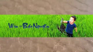 Top 4 Amazing Ideas from 1 RC Car toy at Home _ Win - Bao Nguyen