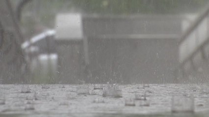 [날씨] 내일까지 곳곳 강한 소나기...모레 제주 장맛비 / YTN