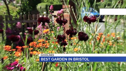 GOODLINES: 16th July 2019