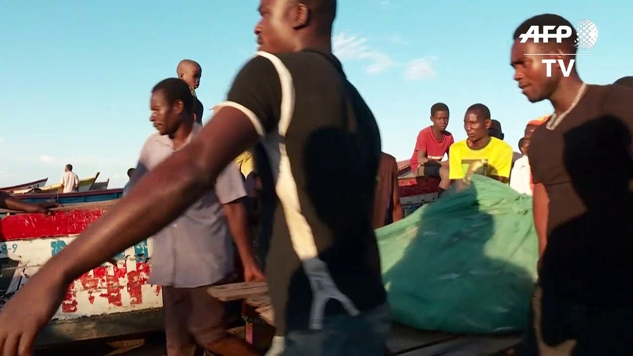 الصيد الجائر وتغير المناخ يستنزفان الأسماك في بحيرة ملاوي