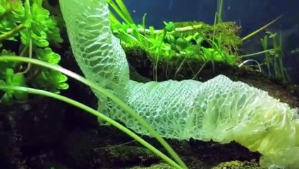 나주출장안마 -후불100%ョØ1ØS2671S8135｛카톡ZHF526｝ 나주전지역출장안마 나주오피걸 나주출장마사지 나주안마 나주출장마사지 나주콜걸샵ぇえぉ