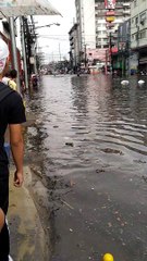Flooded Road Proves to be No Problem
