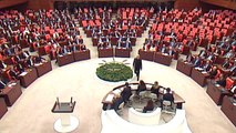 TBMM Genel Kurulu özel gündemle toplandı - Saadet Partisi İstanbul Milletvekili İslam