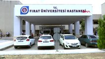 TUNCELİ PKK'lıların tuzakladığı patlayıcı infilak etti 2 kardeş öldü - ELAZIĞ