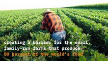 IBM_AGROPAD_AI - powered_technology_will_help_farmers_health_check_soil_and_water