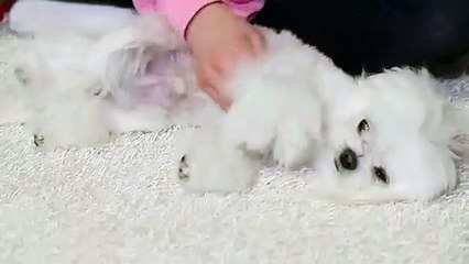 의왕출장안마 -후불100%ョØ1ØE6706E9275｛카톡FX24｝ 의왕전지역출장안마 의왕오피걸 의왕출장마사지 의왕안마 의왕출장마사지 의왕콜걸샵∏∨⇔