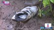 Suman 7 personas fallecidas por el deslave de un cerro en Puebla | Noticias con Yuriria Sierra