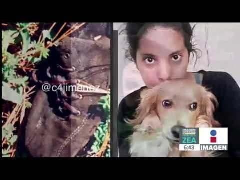 Restos encontrados en Tlalpan son de Daniela, aseguran sus familiares | Noticias con Francisco Zea